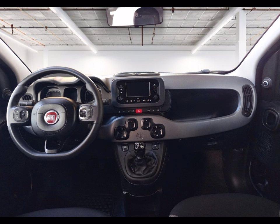 FIAT Panda 1.0 firefly hybrid City Life s&s 70cv 5p.ti del 2023