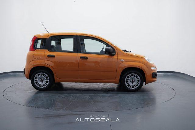 FIAT New Panda 1.2 69cv GPL EasyPower Easy