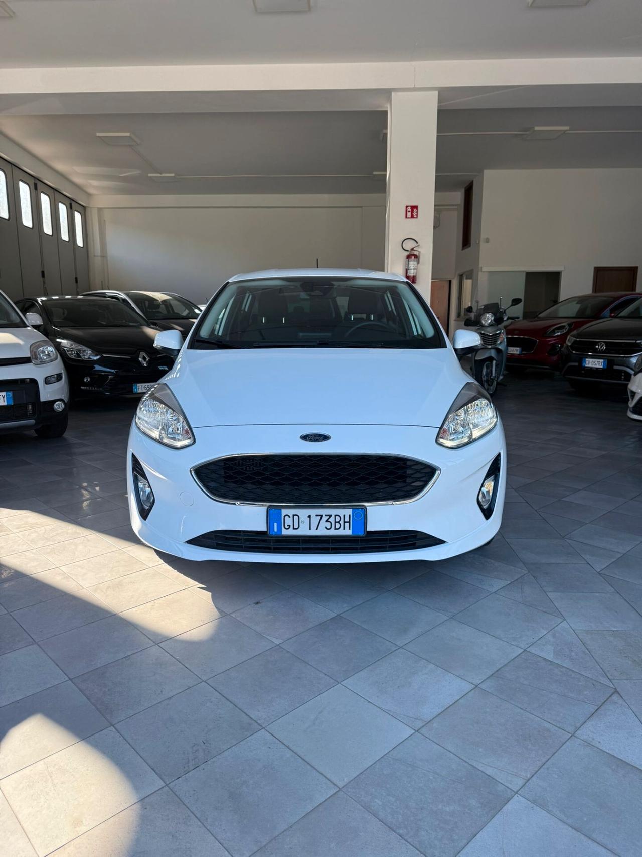 Ford Fiesta 1.5 EcoBlue 5 porte Business