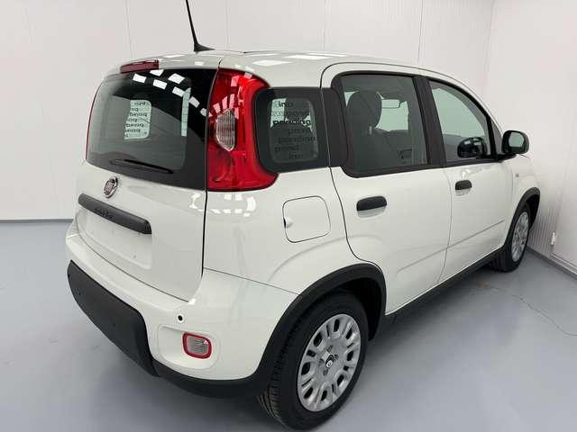 Fiat Panda *PANDINA* 1.0 HYBRID 69CV*CRUISE+SENSORI*ONLYPROMO