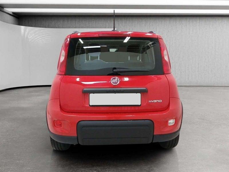 FIAT Panda 1.0 firefly hybrid Sport s&s 70cv