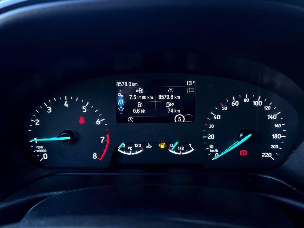 FORD Fiesta 1.0 Ecoboost Hybrid 125 CV 5 porte Titanium del 2023