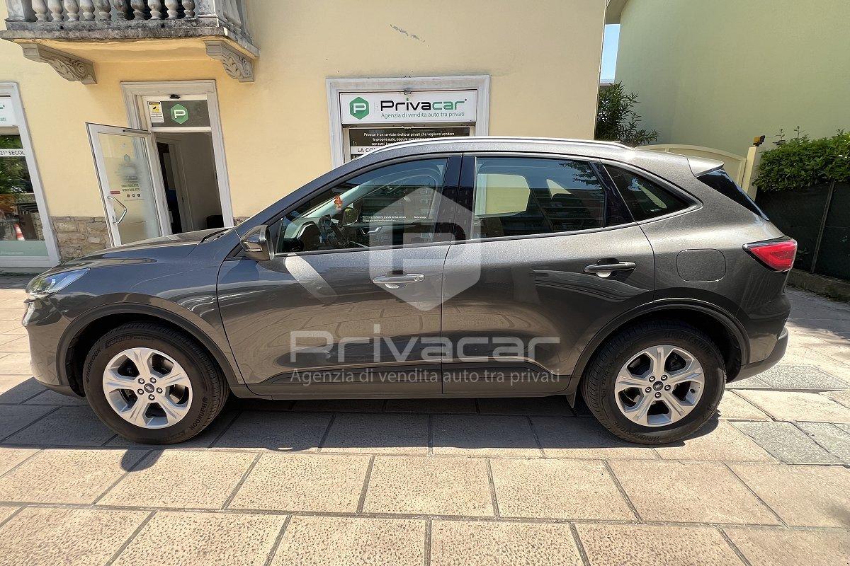 FORD Kuga 1.5 EcoBoost 120 CV 2WD Connect