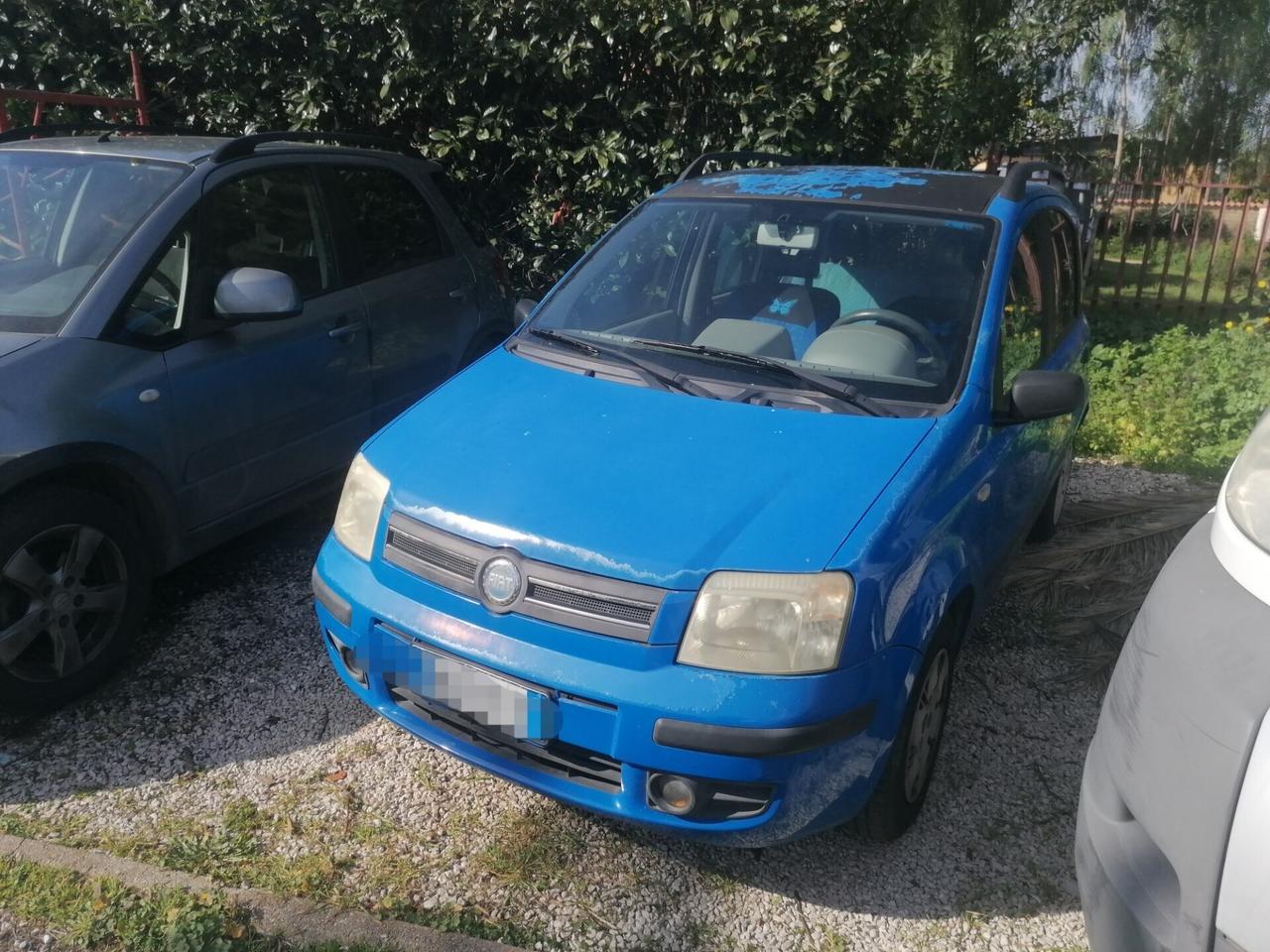 Fiat Panda 1.2 Dynamic motore?