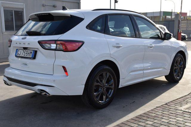 FORD Kuga 1.5 EcoBlue 120 CV aut. 2WD ST-Line