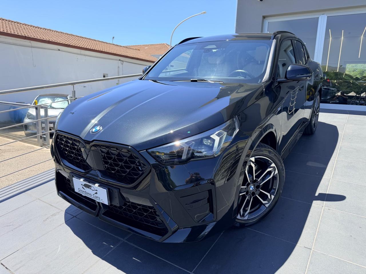 Bmw X2 xDrive 20d Msport Pro interni ghiaccio