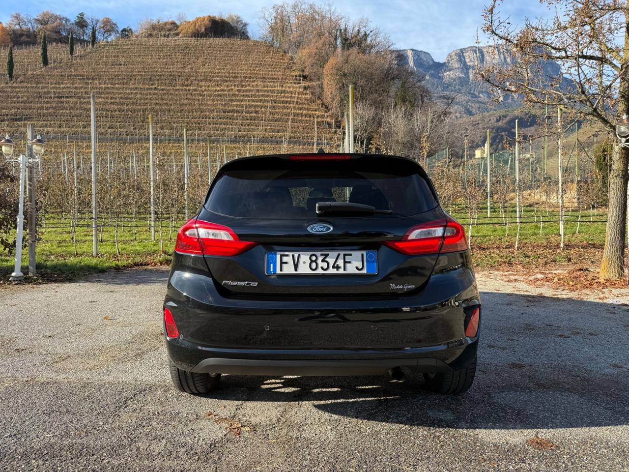 Ford Fiesta 1.5 EcoBlue 5 porte Vignale