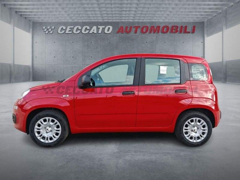 FIAT Panda Panda 1.0 70cv Hybrid Pop