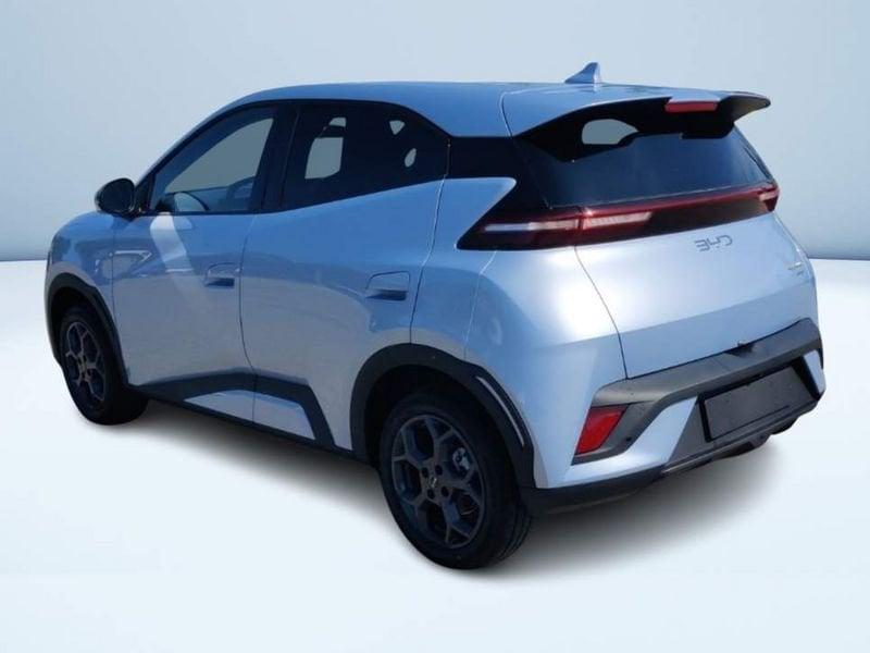 BYD Dolphin Surf Comfort