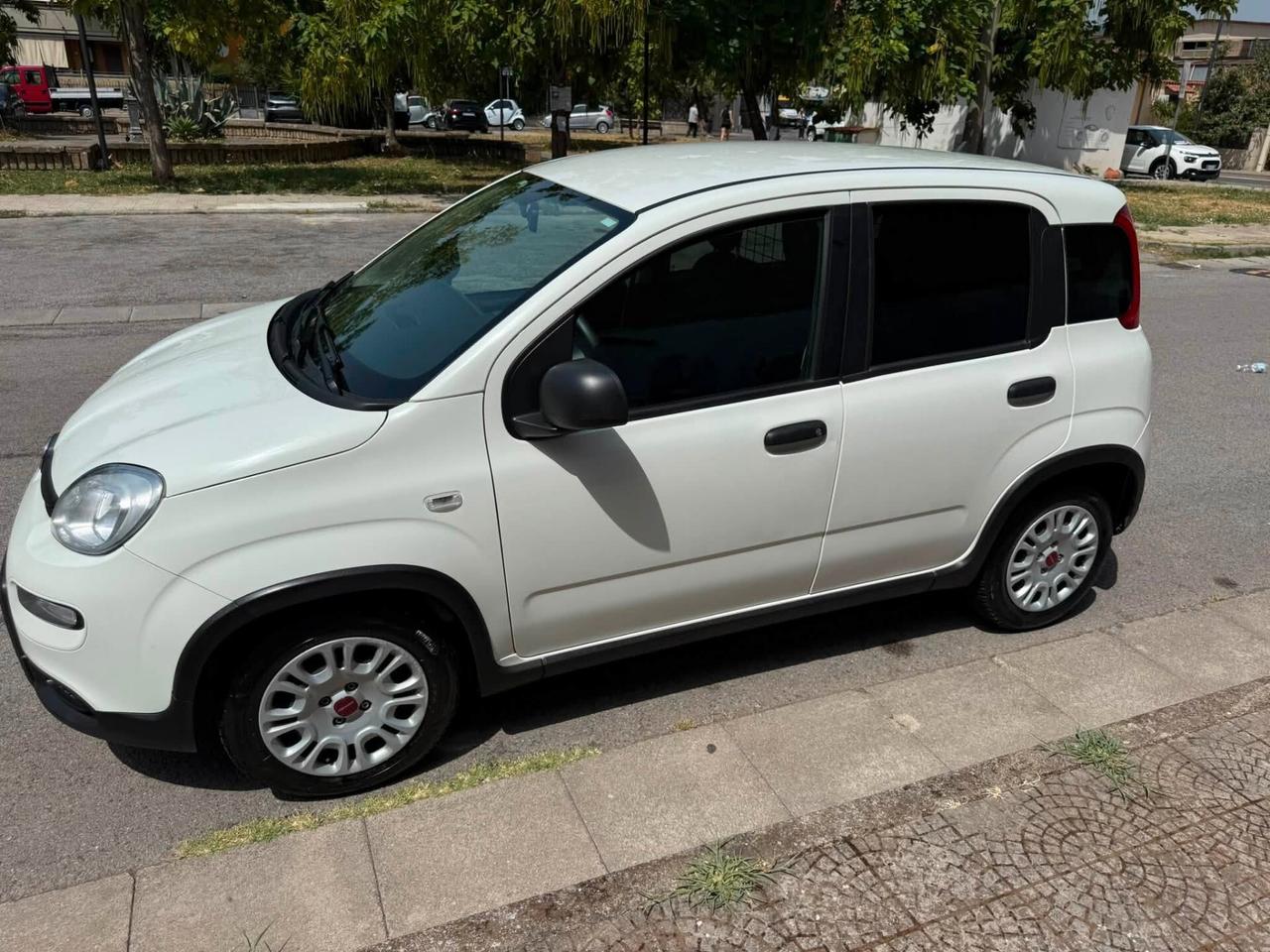 Fiat Panda 1.0 GSE S&S Hybrid Pop Van 2 posti