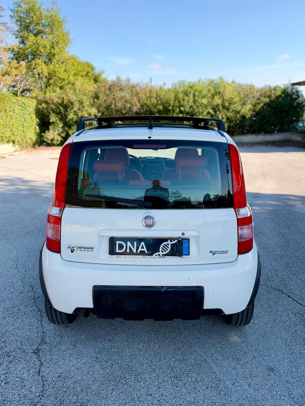 Fiat Panda climbing 1.2 Natural Power Tetto apribile