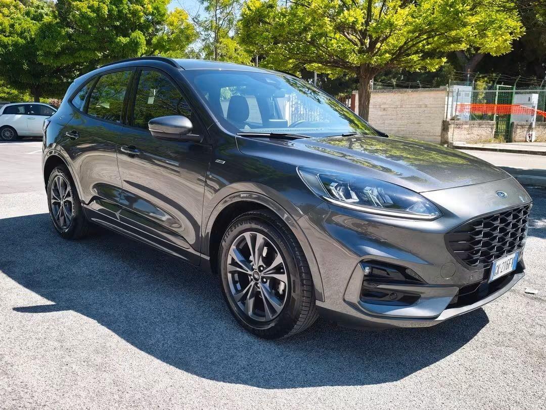 Ford Kuga 1.5 EcoBlue 120 CV aut. 2WD ST-Line
