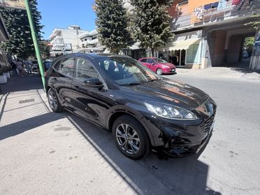 Ford Kuga 1.5 EcoBlue 120 CV aut. 2WD ST-Line X