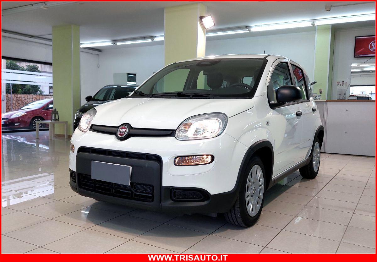 FIAT Panda 1.0 FireFly S&S Hybrid MY24 KM ZERO!!! IVATA NEOPATENTATI