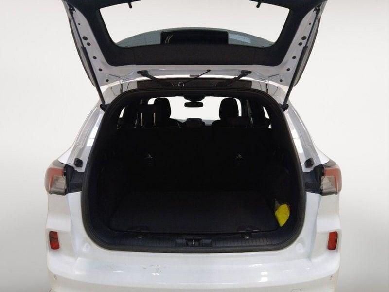 Ford Kuga 1.5 ecoblue ST-Line 2wd 120cv auto