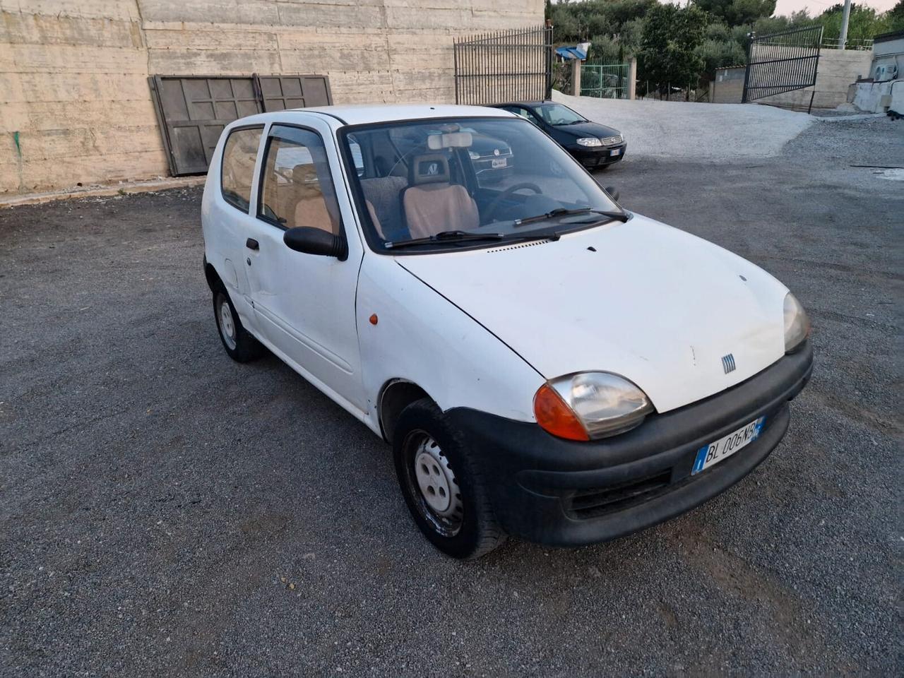 Fiat Seicento 900i cat Young
