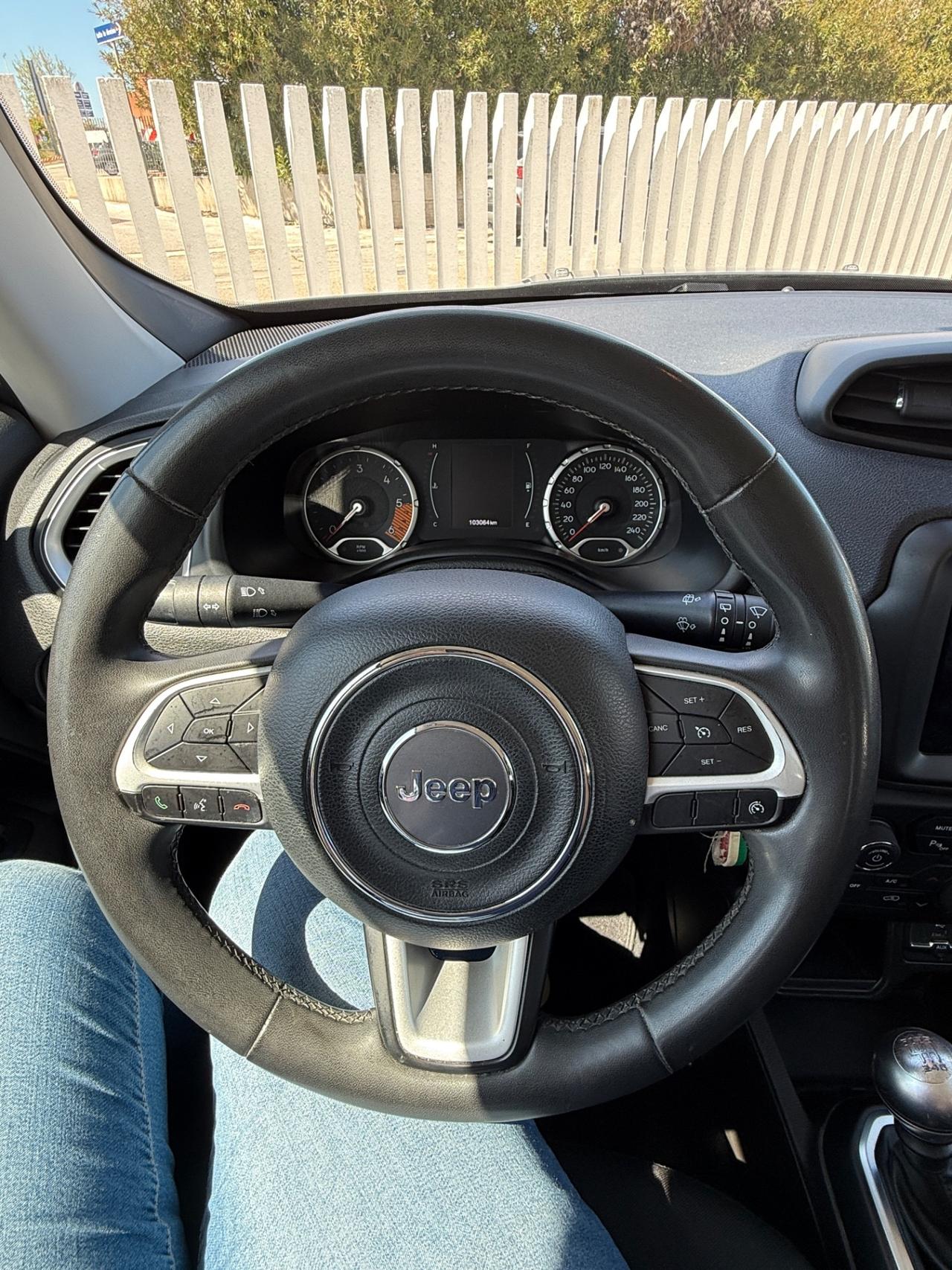 Jeep Renegade 1.6 Mjt 120 CV Longitude