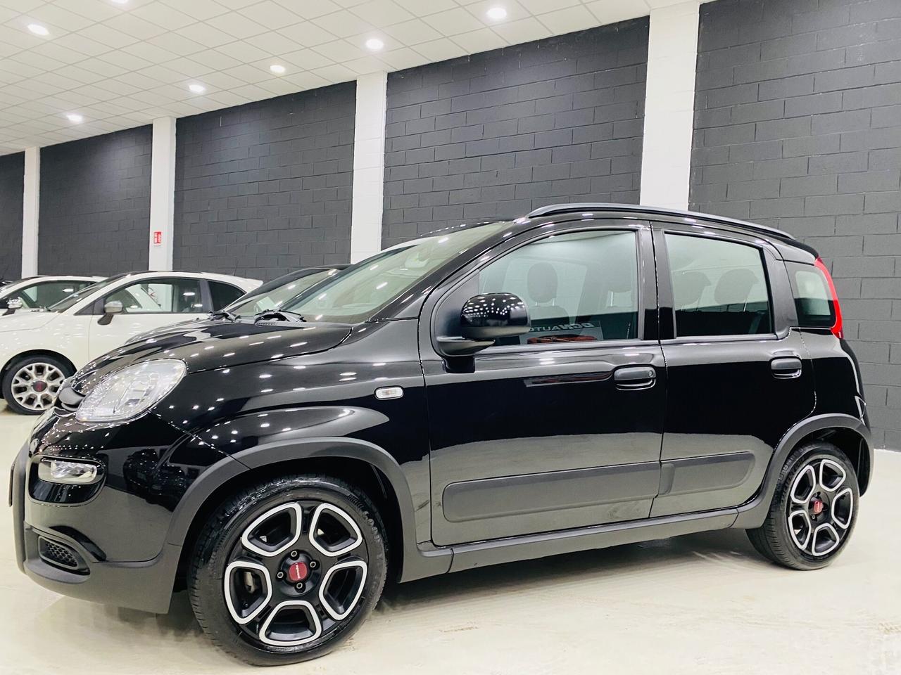 Fiat Panda 1.0 firefly hybrid Sport s Navy CarPlay