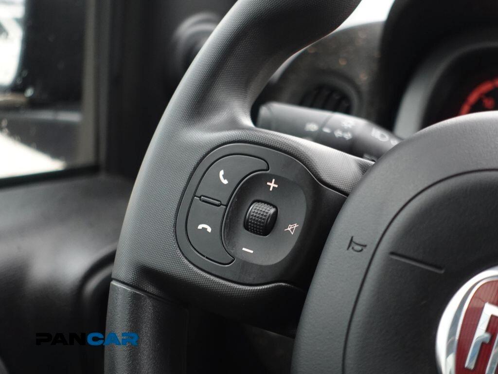 Fiat Panda 1.0 FireFly S&S Hybrid City Cross