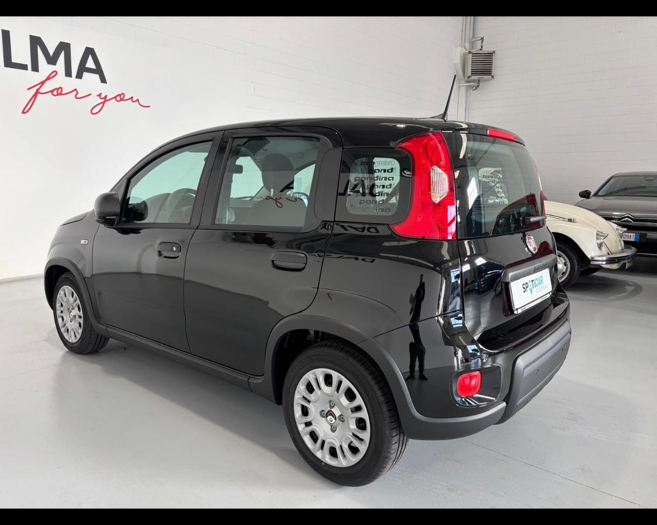 FIAT Pandina III 2024 - Pandina 1.0 firefly hybrid Pop s&s 70cv