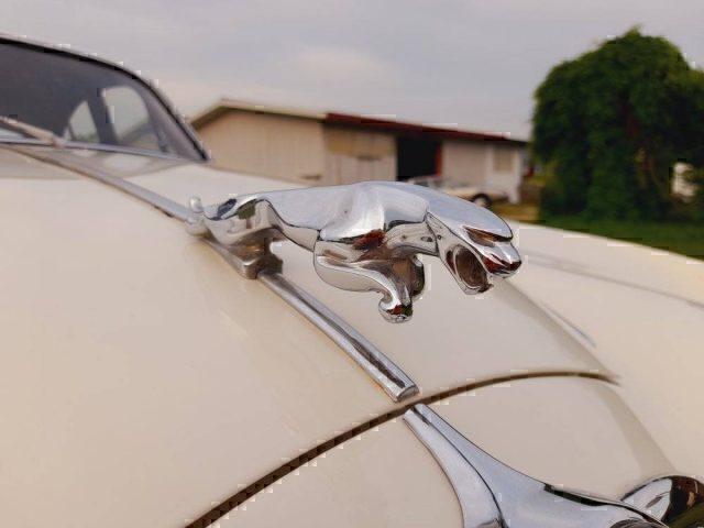 JAGUAR MK II targhe italiane OK PERMUTE Leggere bene