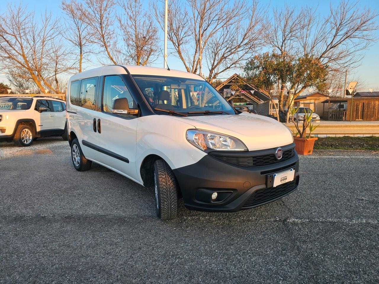 Fiat Doblo Doblò 1.3 MJT PL-TN Cargo Maxi Lamierato SX