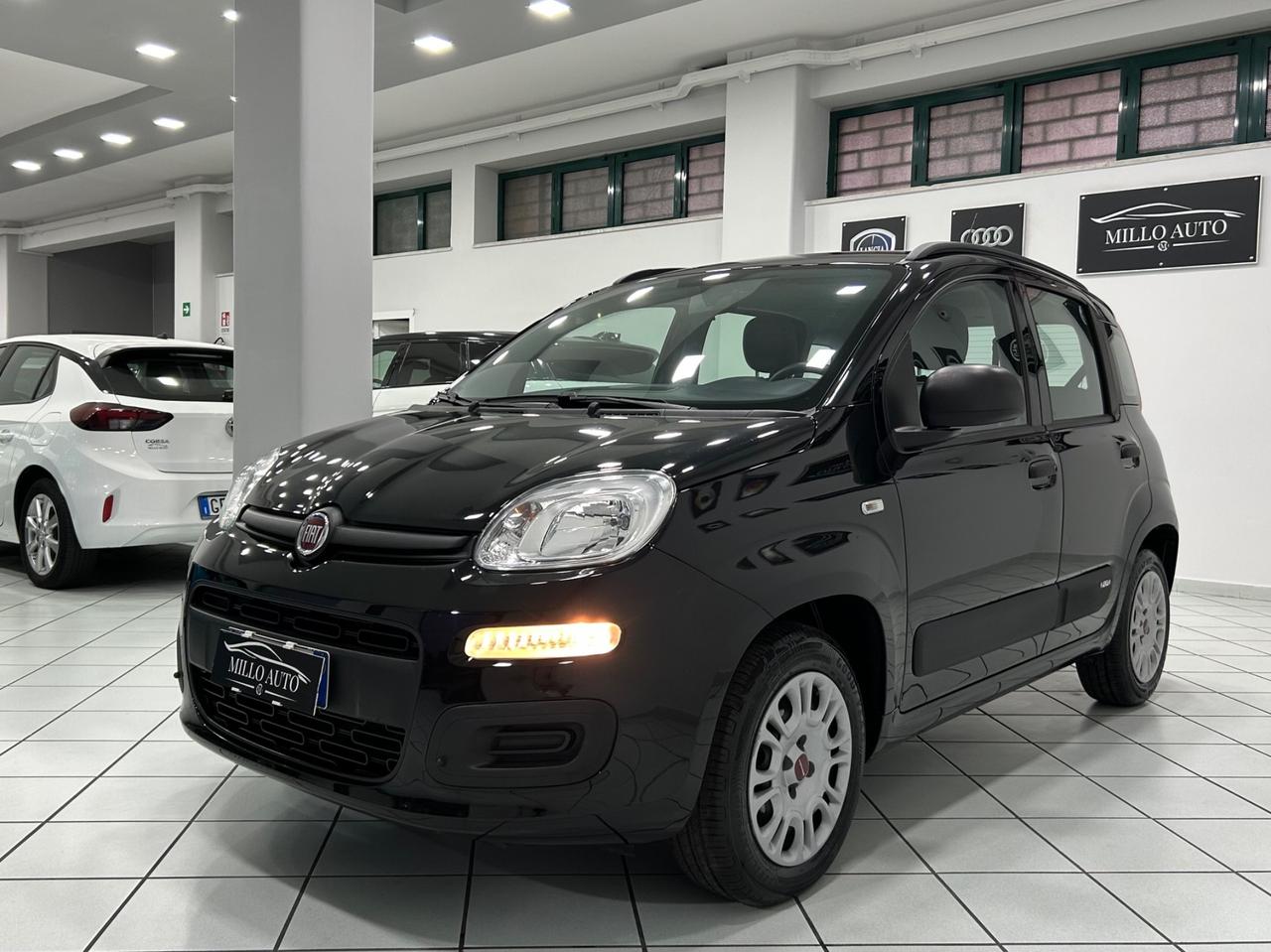 Fiat Panda 1.2cc 69cv EasyPower UNICO PROPRIETARIO
