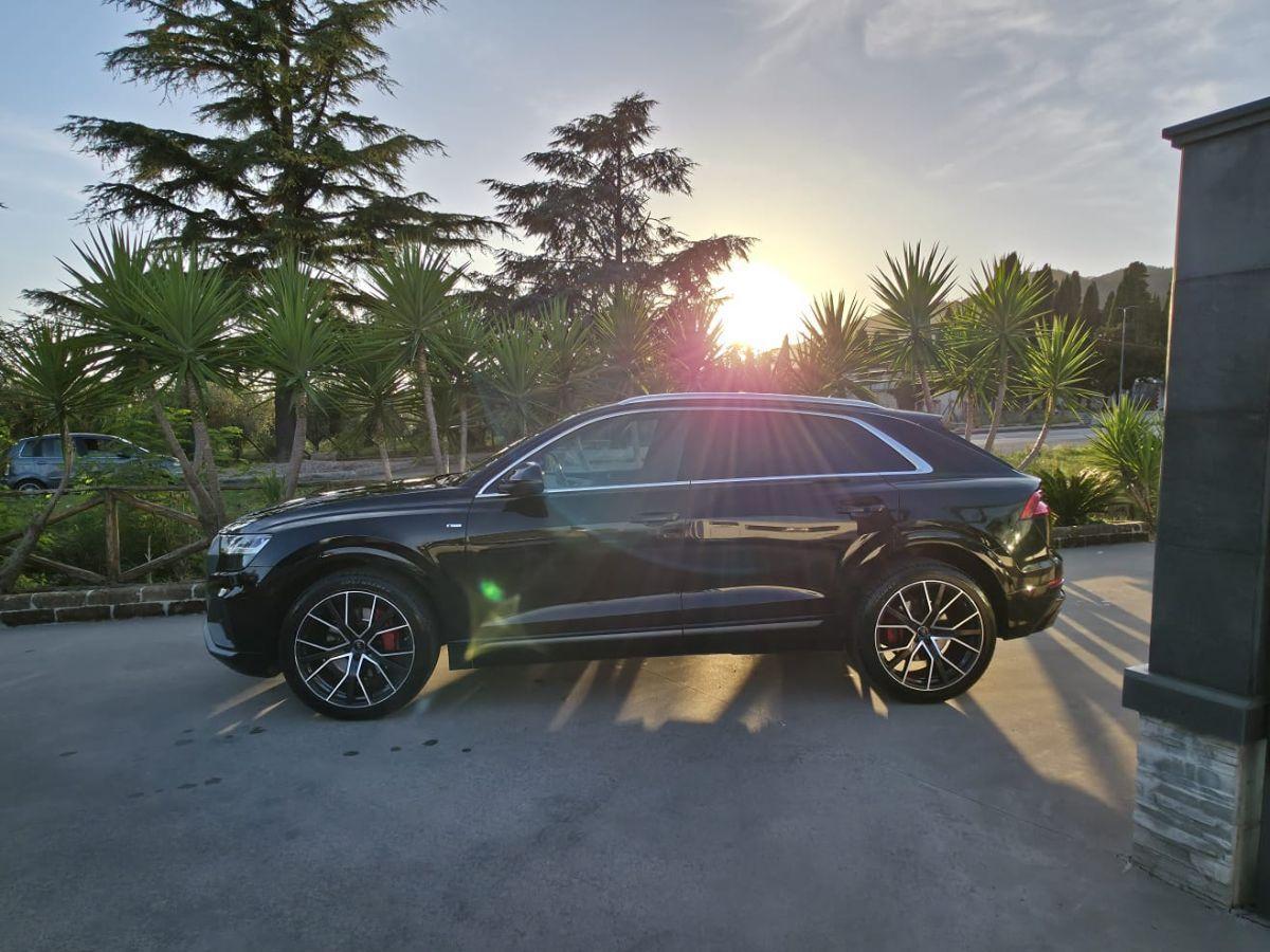AUDI - Q8 - 50 TDI 286 CV quattro tiptronic Sport