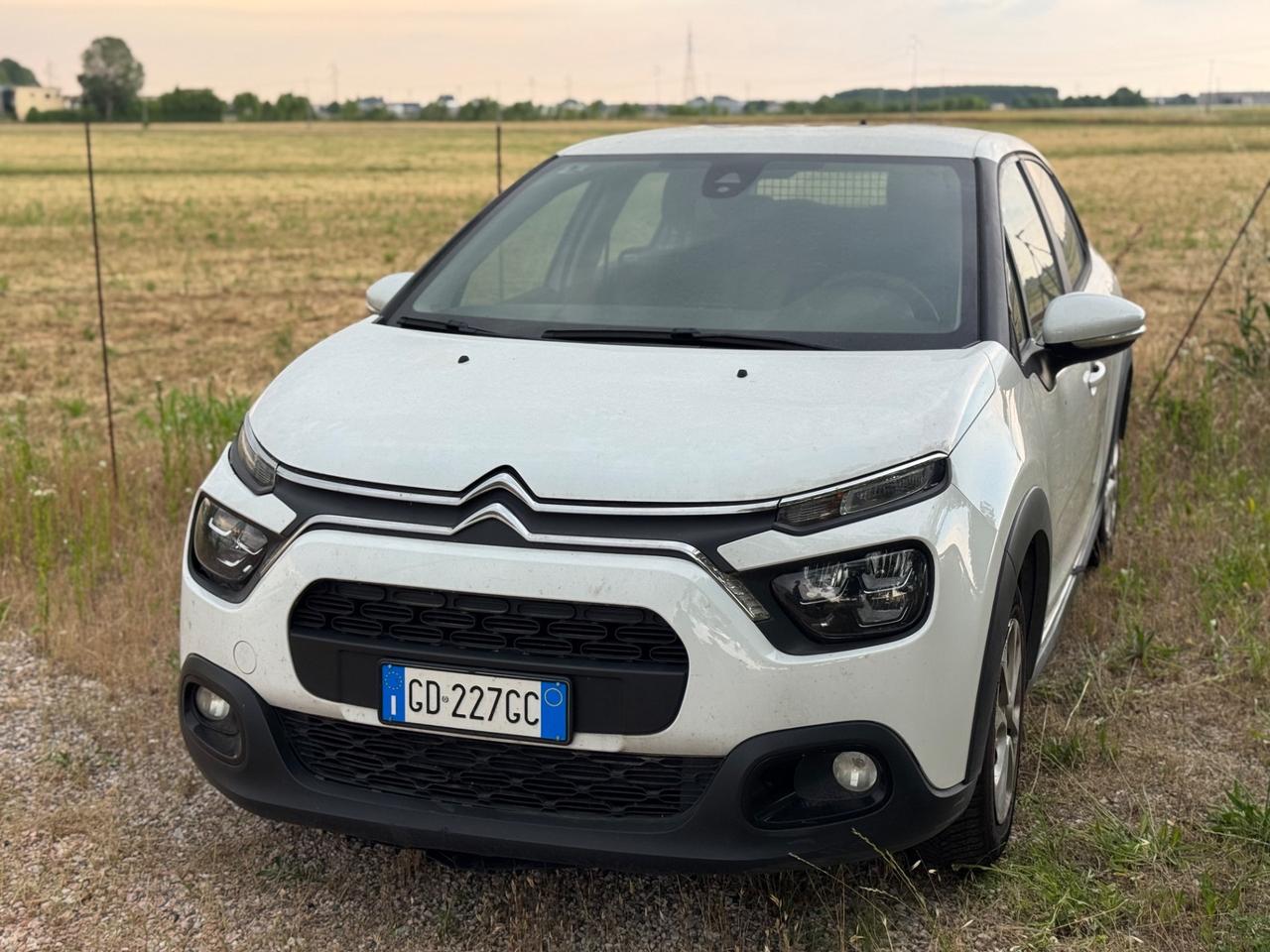Citroen C3 1.5 BlueHDi 102cv Van 2 Posti