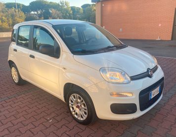 FIAT PANDA EASY 1.2cc IDONEA NEOPATENTATI