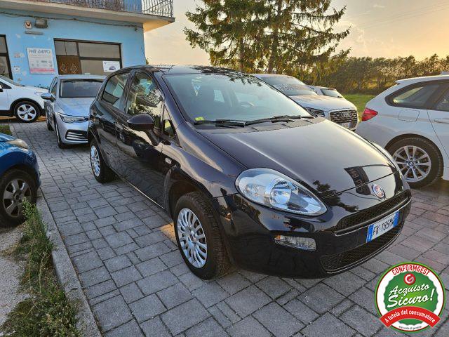 FIAT Punto 1.4 8V 5 porte Natural Power Street