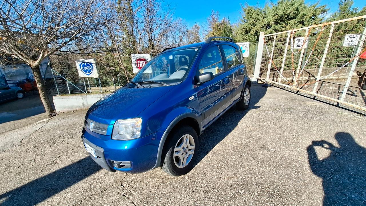 Fiat Panda 1.2 4x4
