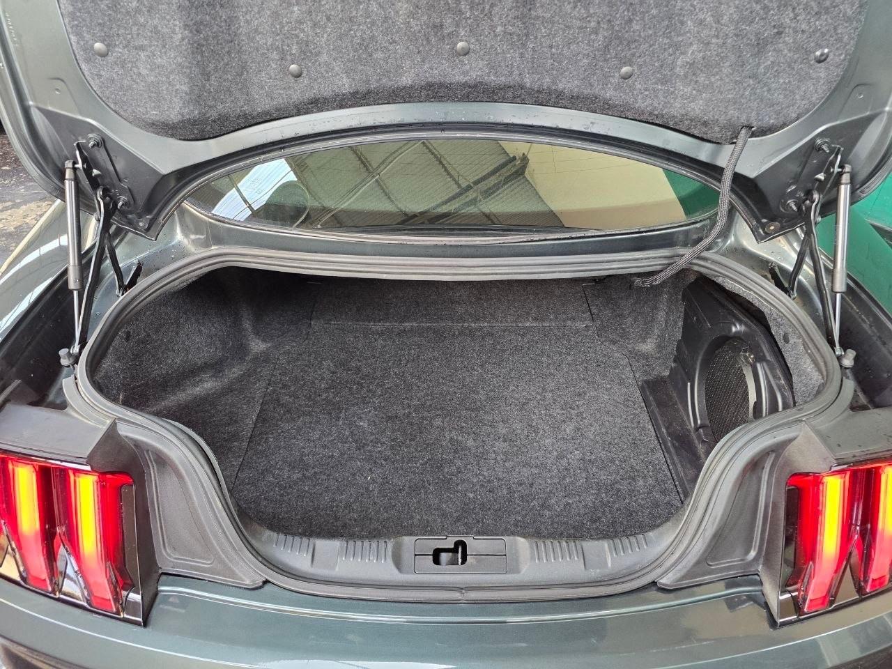 Ford Mustang 2.3 EcoBoost *MANUALE