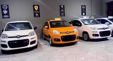 NEW Fiat Panda VARI MODELLI OCCASIONEE