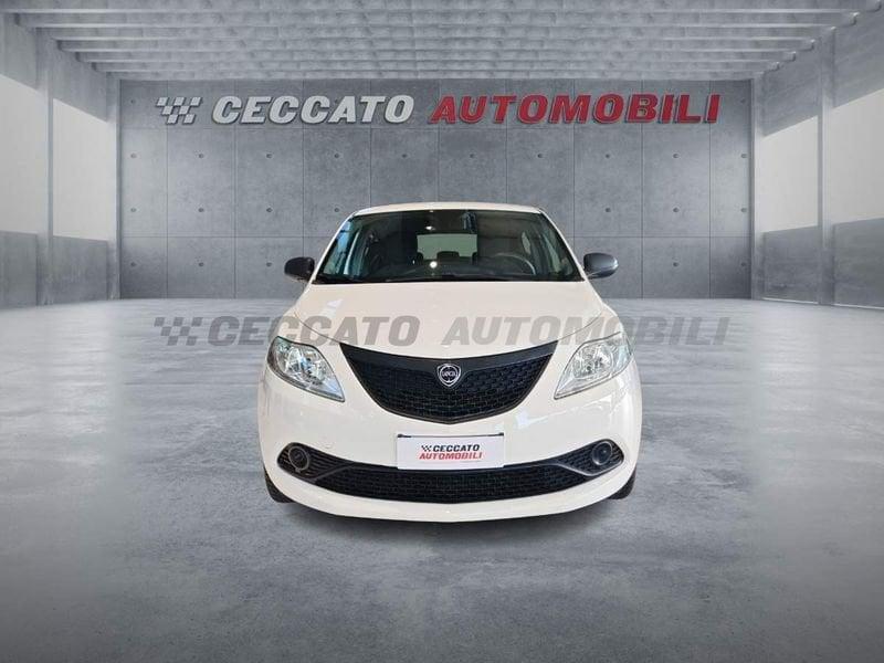 Lancia Ypsilon Ypsilon 1.2 Elefantino 69cv my18