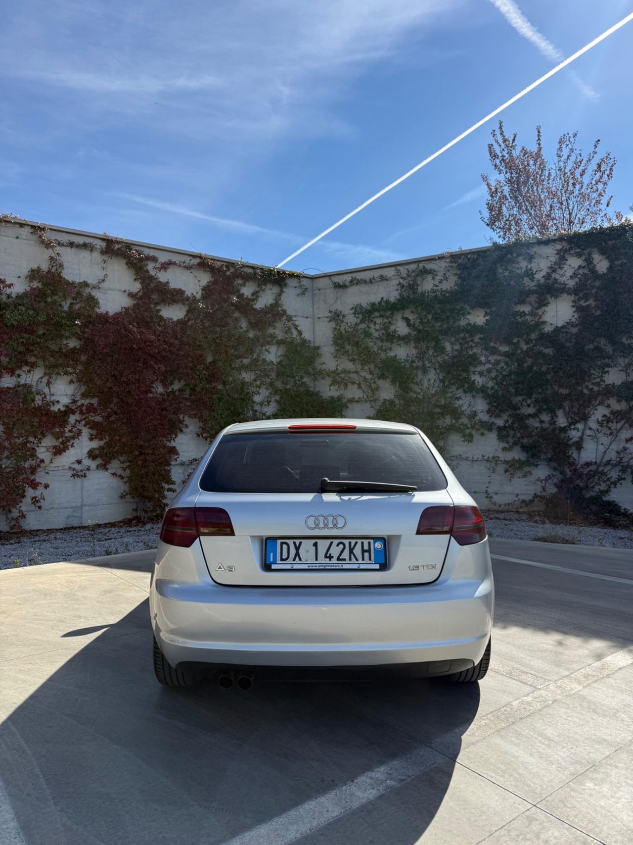 Audi A3 SPB 1.9 TDI F.AP. Ambition