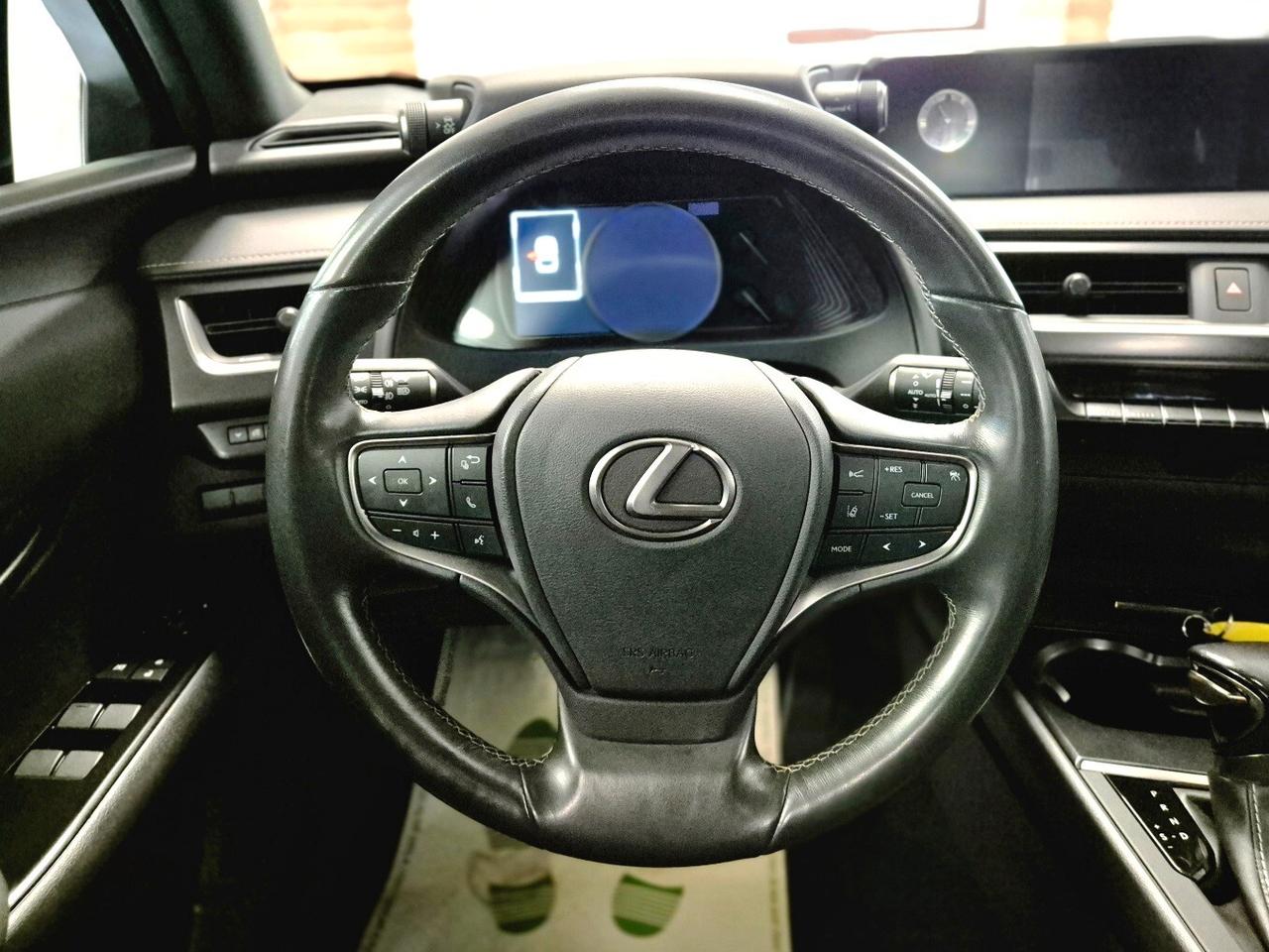 Lexus UX Hybrid 4WD Business