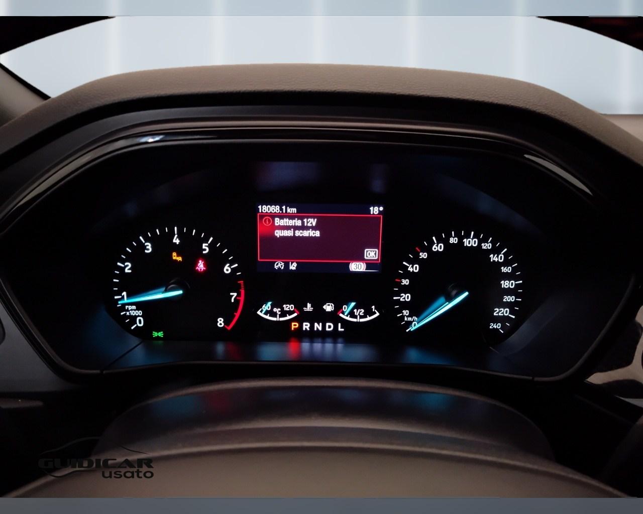FORD Focus V 2022 - Focus 1.0t ecoboost h ST-Line 155cv powershift
