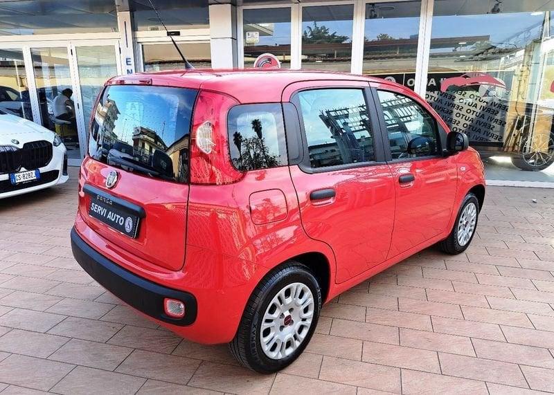 FIAT Panda Panda 1.2 Easy