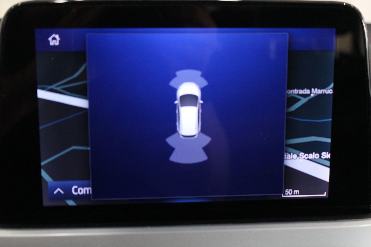 FORD - Focus Station Wagon - Focus 1.5 EcoBlue 120CV SW Business