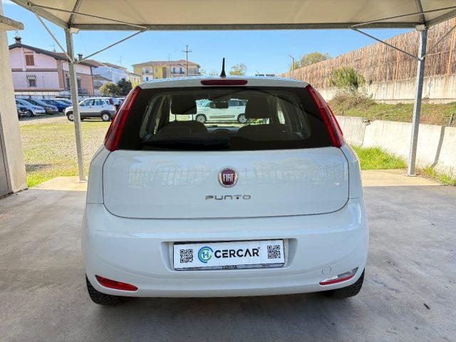 FIAT Punto 1.2 8V 5 porte Lounge EURO 6 TENUTA BENE