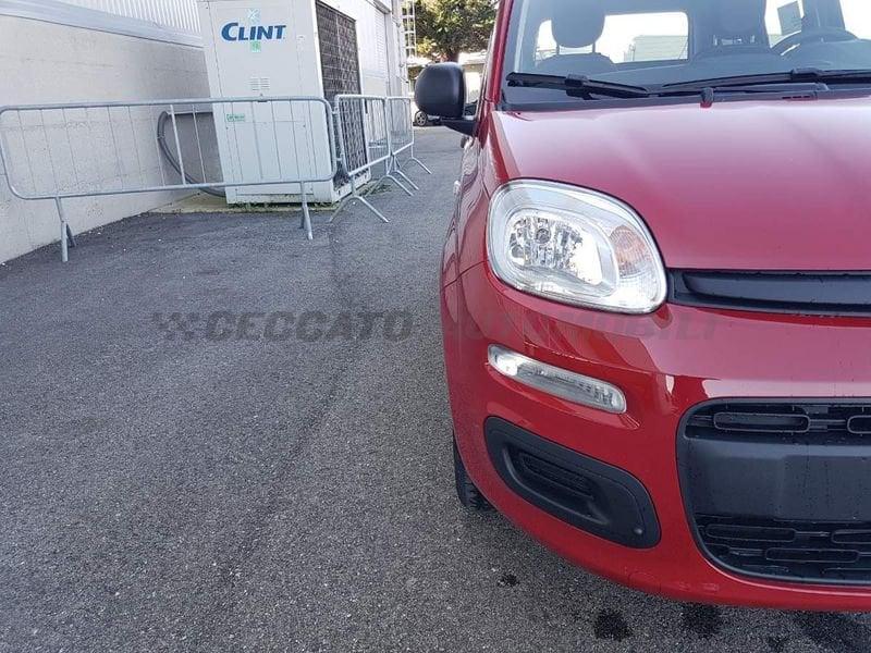 FIAT Panda Panda 1.0 70cv Hybrid Icon