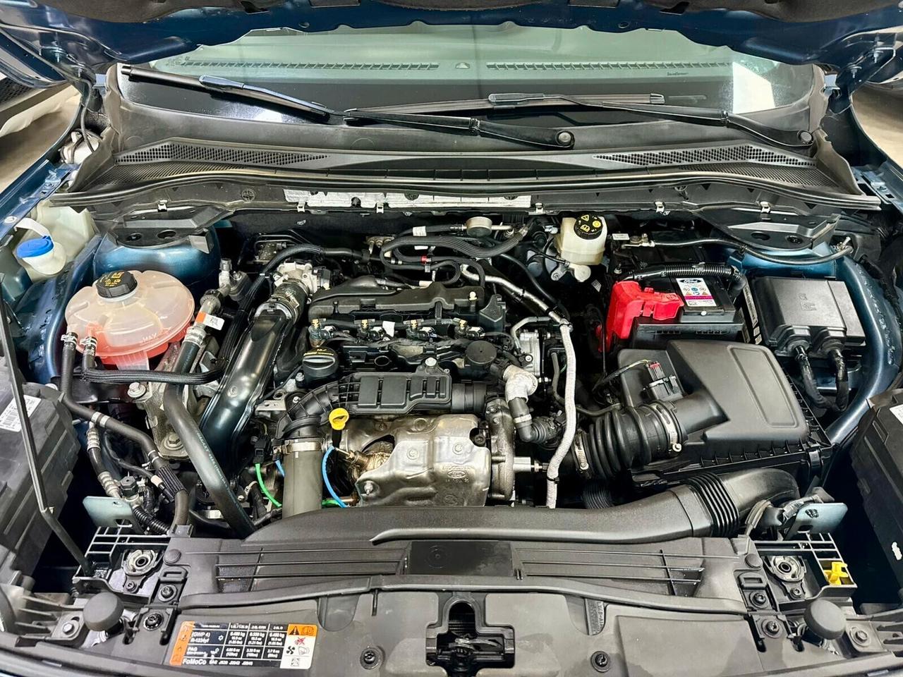 Ford Kuga 1.5 EcoBlue 120cv aut. Titanium 12/2021