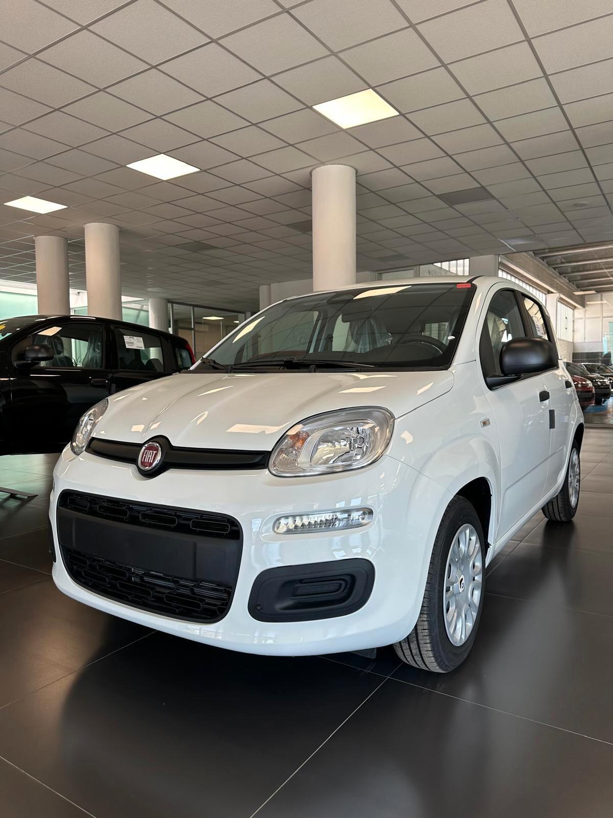 Fiat Panda 1.0 70 CV KM 0 disponibile Nero e bianca