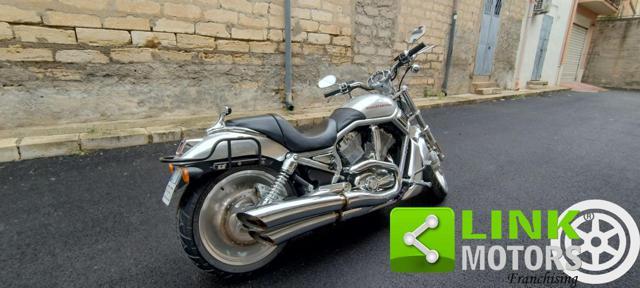 HARLEY-DAVIDSON 1130 V-ROD - VRSCA V-ROD