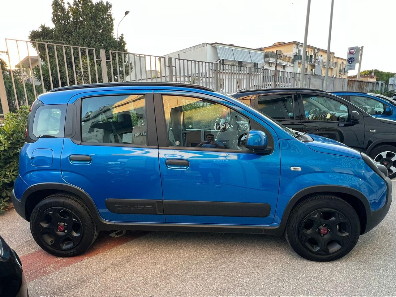 Fiat Panda PANDINA 1.0 HYBRID 70CV 2023