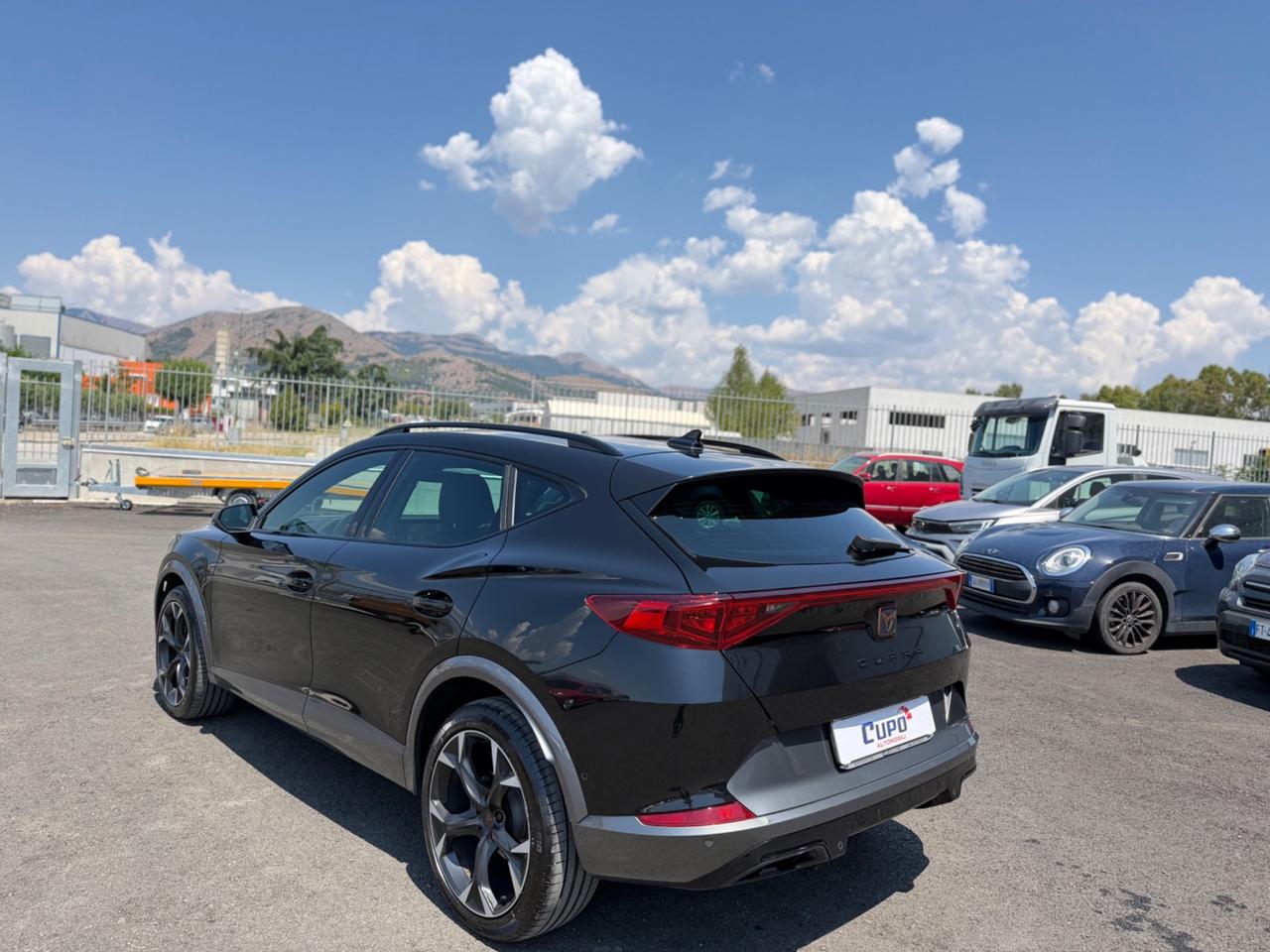 Cupra Formentor 2.0 TDI 4Drive DSG