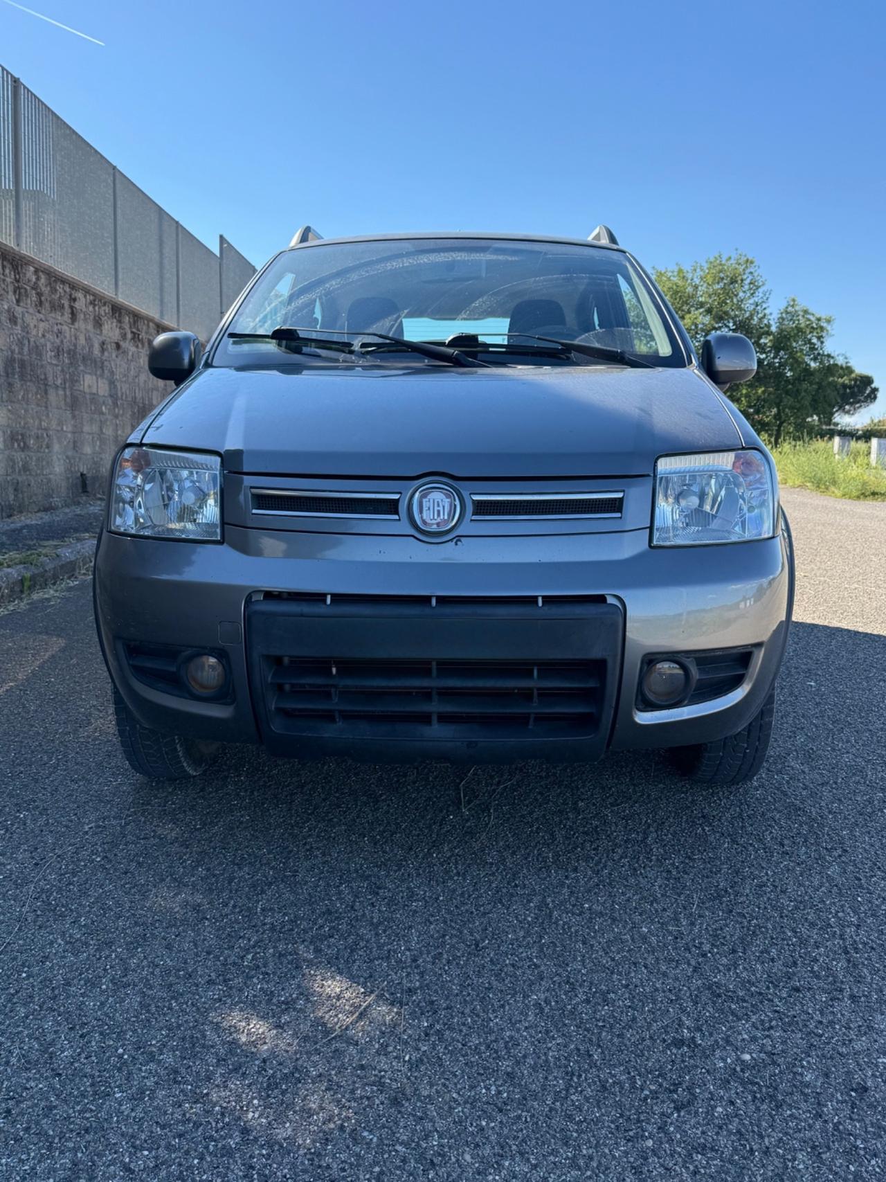 Fiat Panda 1.2 4x4 GPL