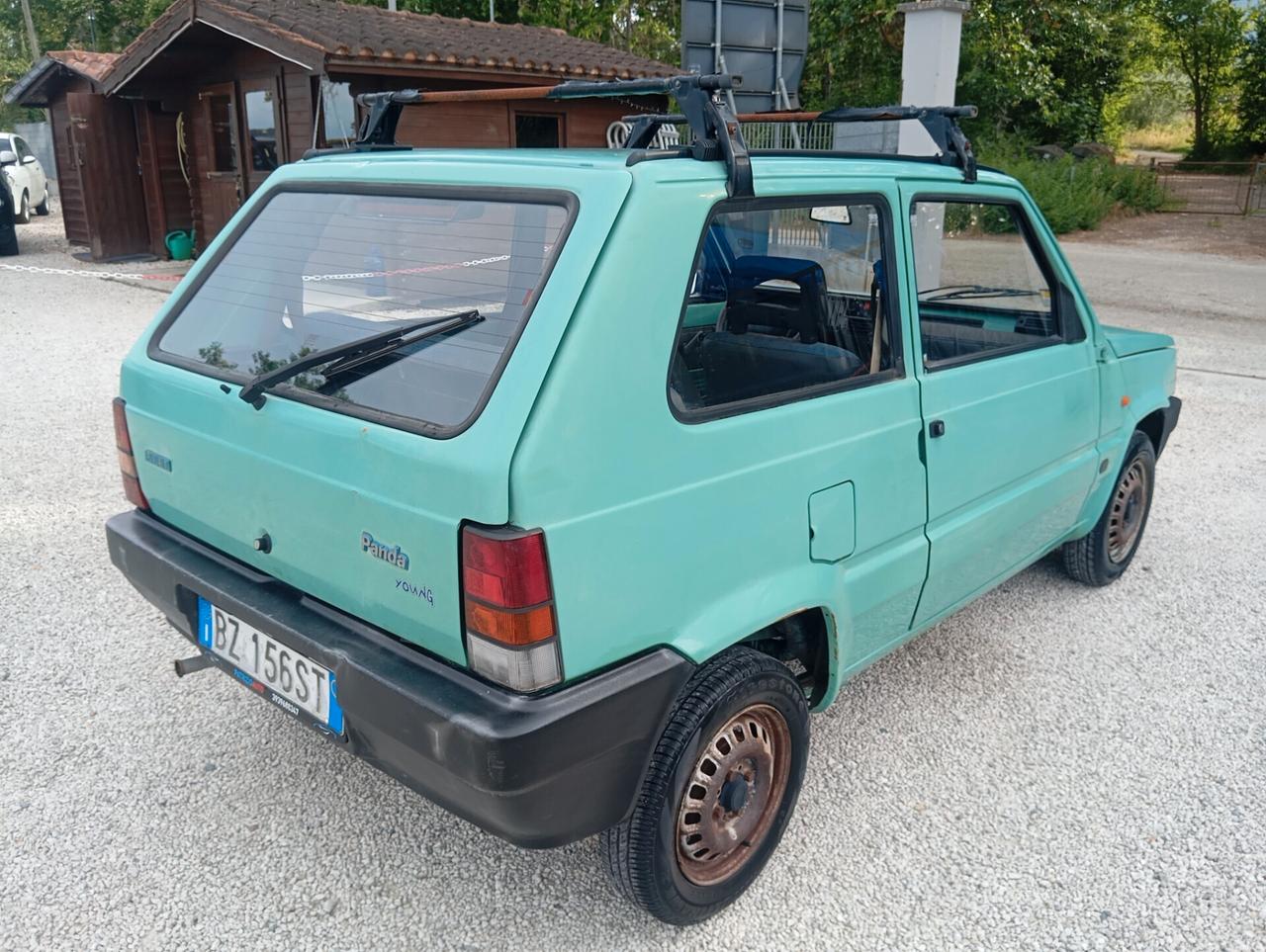 Fiat Panda 1100 i.e. cat Young