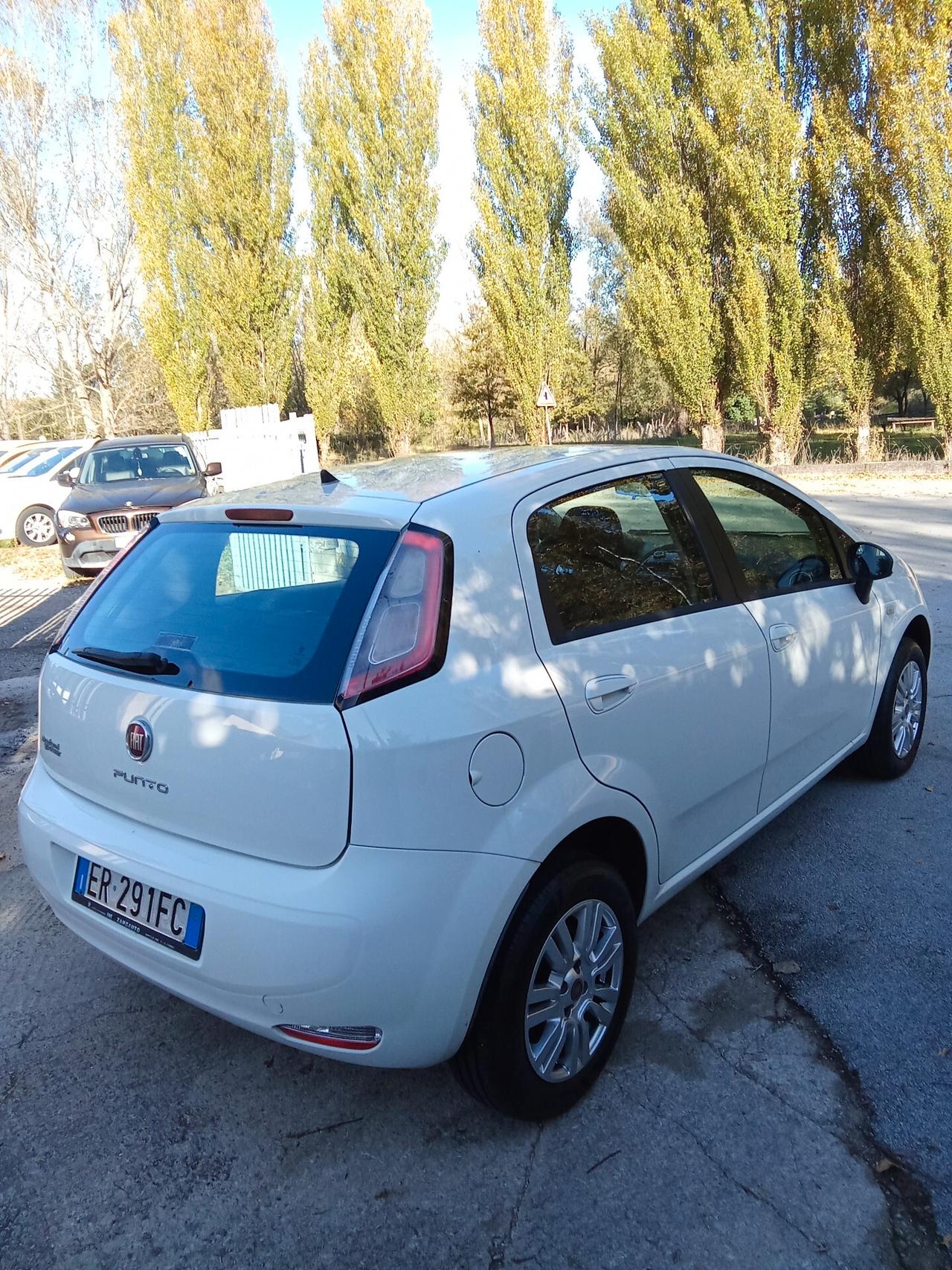 Fiat Punto 1.4 8V 5 porte Natural Power Street 013